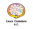 Fundación Cauce Ciudadano, A.C.